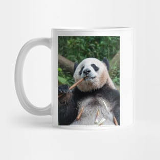 Panda Loves Bamboo! Mug